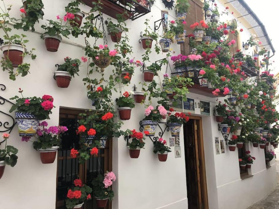 Apartamento El Templo Córdoba Exterior foto